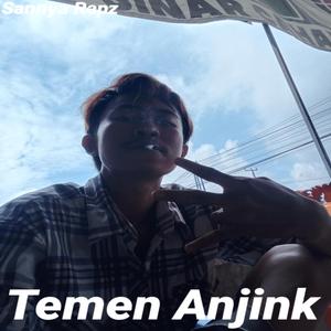 Temen Anjink