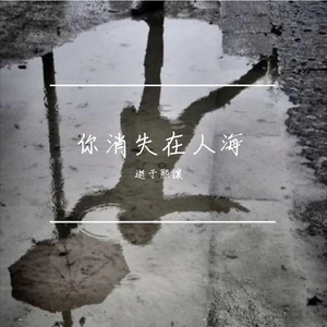 那天你消失在人海