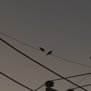 คนบ้าที่รักเธอมากที่สุด