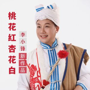 桃花红杏花白 (伴奏)