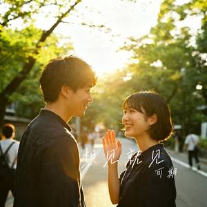 想见就见