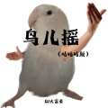 鸟儿摇 (咕咕咕版)