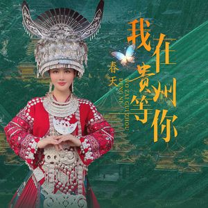 我在贵州等你（DJ版）