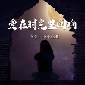 爱在时光里回响