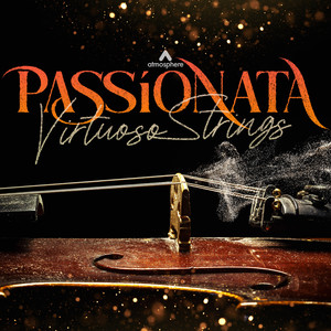 Ostentatious Arrival