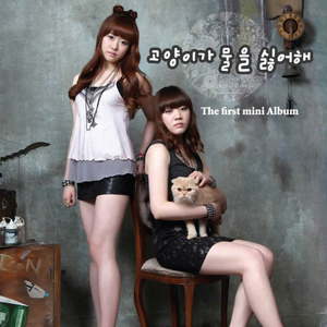 하이틴 로맨스(inst)