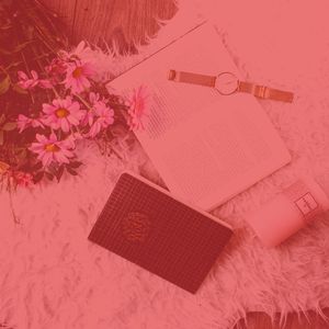 柔和的正在读书时刻