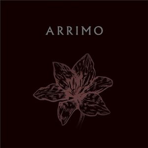 Arrimo