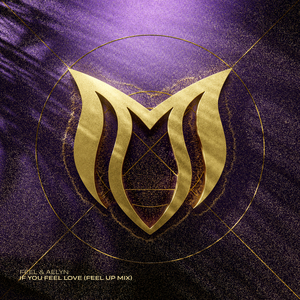 If You Feel Love (FEEL Extended Up Mix)