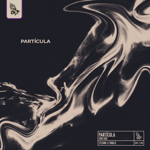 PARTÍCULA