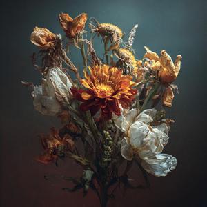 誰かの不幸が私をちょっと安心させる