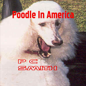 Poodle in America