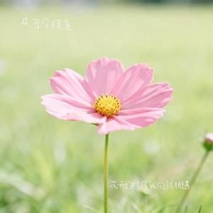 不确定的距离 (烟嗓版)