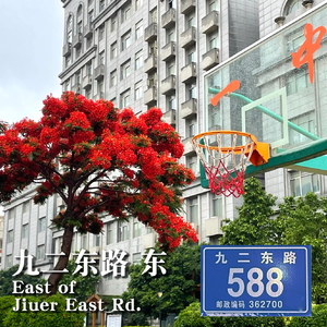 九二东路东 伴奏