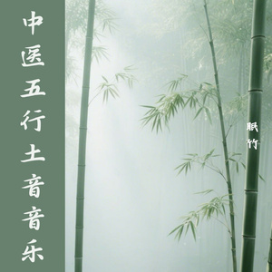 中医五行音乐·土音·益气固本