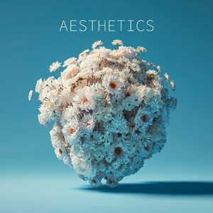 Aesthetics