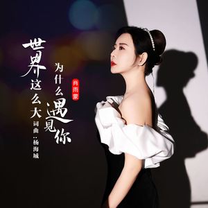 世界这么大为什么遇见你 (DJ翊轩版)