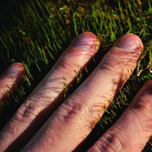 Dedicated to the Basil on my Speakers