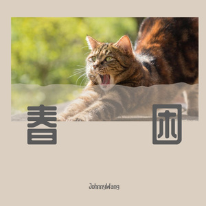 唯有时光（萨克斯版）