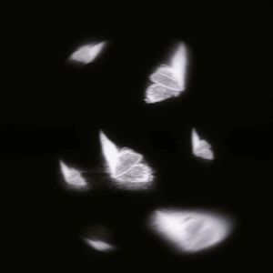 不说 (想什么输赢公平）