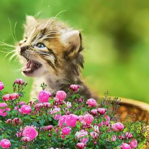 夜幕下的温柔治愈