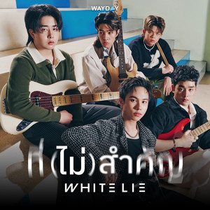 ที่(ไม่)สำคัญ