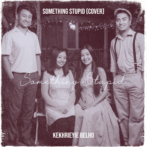 Something Stupid (Cover)