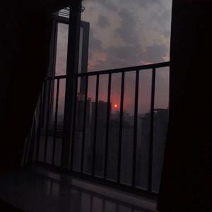 蝶儿总在空中飞