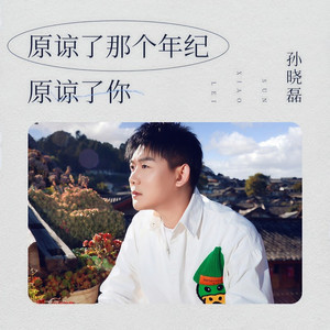 原谅了那个年纪原谅了你