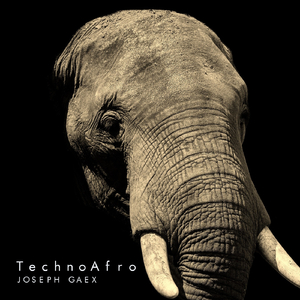 TechnoAfro (Original Mix)