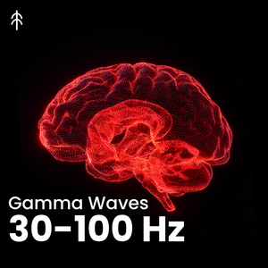 50 Hz Precision (Binaural Beats)