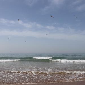 蔚蓝海岸线的低语