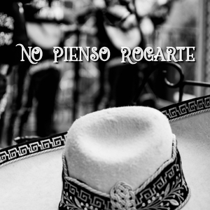 No Pienso Rogarte