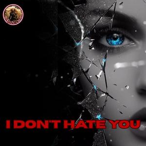 I Don't Hate You