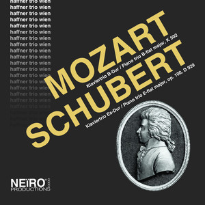 Piano Trio in E-Flat Major, D. 929: II. Andante con moto