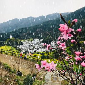 东风吹雨过青山