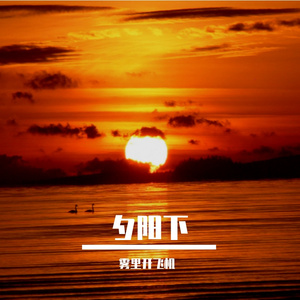 夕阳下