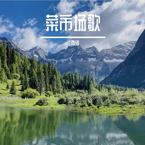 菜市场歌