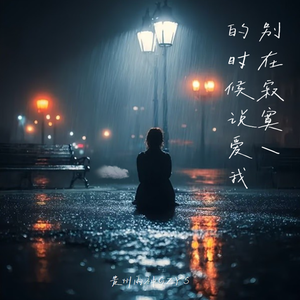 别在寂寞的时候说爱我