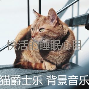 一尘不染小猫印象数