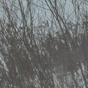 lugtreadflavoredpuke.