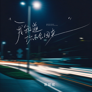 我知道你不会回来