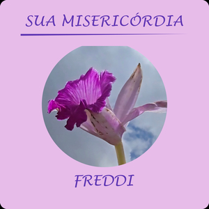 Sua Misericórdia