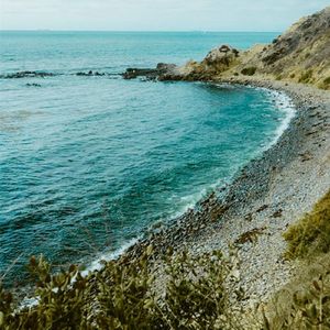 森林夜游中的萤火虫（钢琴）