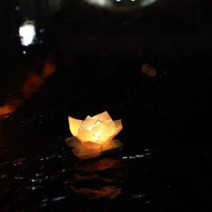 给你一盏长明的温柔