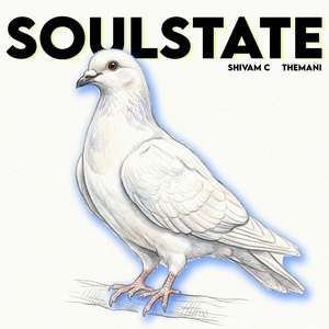 Soulstate