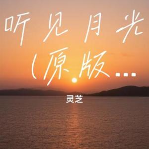 听见月光