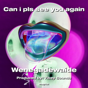 Can i pls see you again