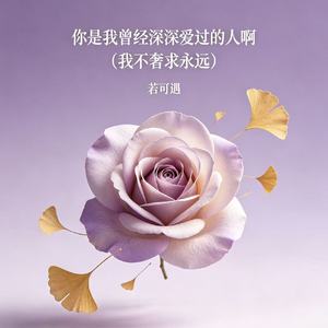 你是我曾经深深爱过的人啊（我不奢求永远）