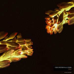 Sleep (Original Mix)